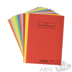 Libreta grapada Papyrus A5 liso 48h 90g