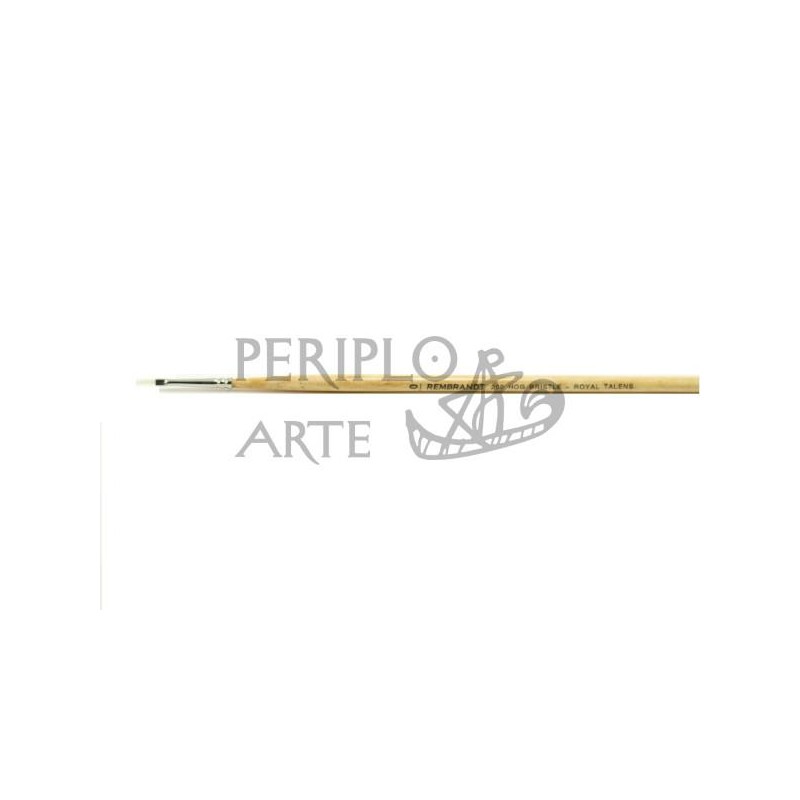 Pincel Rembrandt serie 200 nº 0